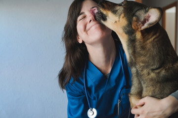 Happy stray dog licking vet woman doctor face inside private hospital - Focus on veterinarian - obrazy, fototapety, plakaty