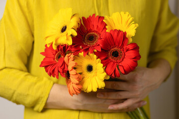 bouquet of red, yellow, orange gerberas flowers in female hands. concept of autumn, holiday for woman