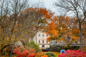 Coloful autumn tree foliage and fall trees at the Cheekwood Estate in Nashville Tennessee