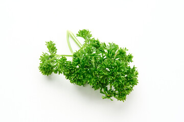 Fresh organic parsley herb isolated on white background. Close up