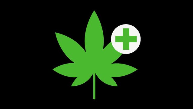 Icon animation of a green marijuana leaf with a plus symbol next to it, showing it's medical/medicinal marijuana.