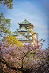 View of Osaka Castle with cherry blossom trees as a frame and dramatic sky.