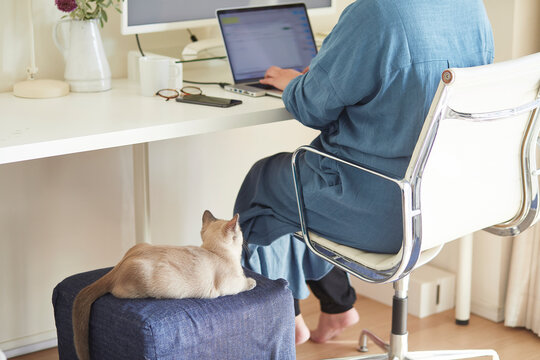 デスクでパソコンを開き仕事をする女性と子猫