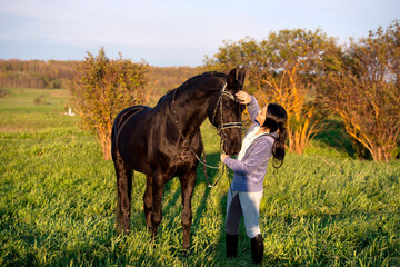  beautiful black horse  with his owner and rider  posing in green grass meadow. spring time