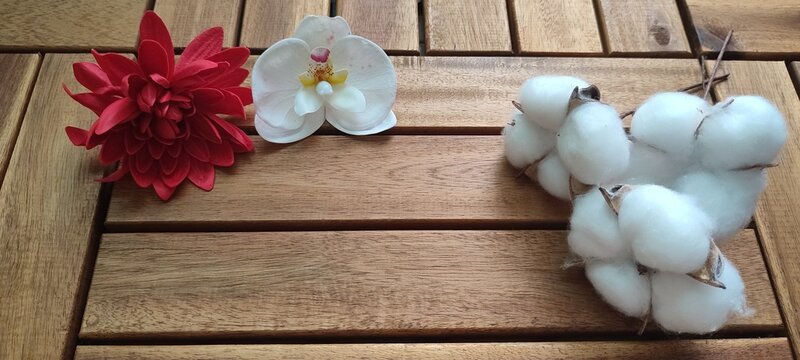 cotton. cotton and red flowers. ecology and environmental protection. enviroment protection. cotton flowers on a wooden background. natural materials.