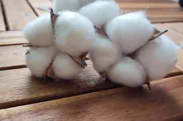 cotton. ecology and environmental protection. enviroment protection. cotton flowers on a wooden background. natural materials.