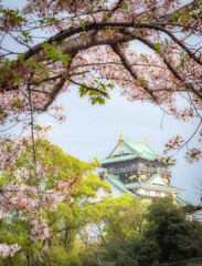 Fototapeta premium Osaka castle with cherry blossoms as a frame.