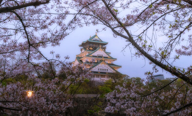osaka castle with cherry blossoms in spring.