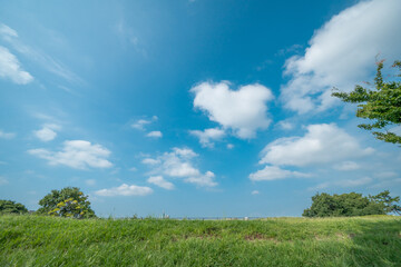 夏の空