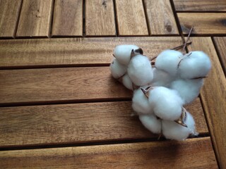 cotton. ecology and environmental protection. enviroment protection. cotton flowers on a wooden background. natural materials.