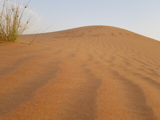 desert
