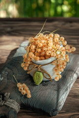 white currants in ceramic dishes on a wooden rustic table. Harvest of white currants, still life with wonderful sunlight