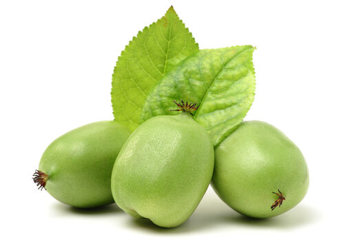 mini kiwi baby fruit (actinidia arguta) on white background 