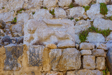 Lion carving (Mamluk period), Medieval Nimrod Fortress, Golan Heights