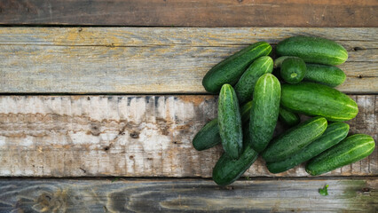 Cucumbers on wooden background. Cucumber harvest banner, copy space.