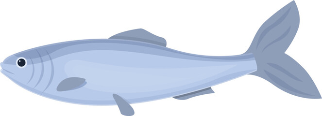 Sea sardine icon cartoon vector. Herring fish. Seafood store