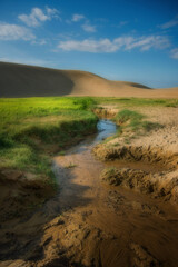 The desert on the west coast of Japan has become an exotic tourist spot.