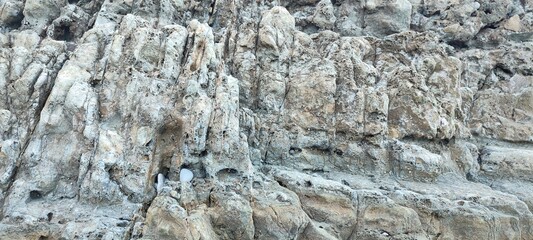 stone texture. a natural stone. texture of sea rocks. sea ​​shore. rocks.