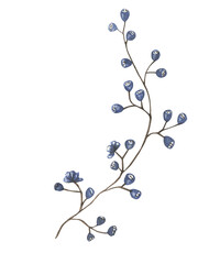 Twig With Blue Flowers.Watercolor illustration.