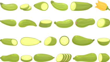 Vegetable marrow icons set cartoon vector. Agriculture zucchini. Cooking vegetable
