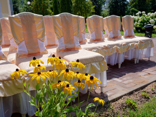 beautiful wedding ceremony in nature in a green park
