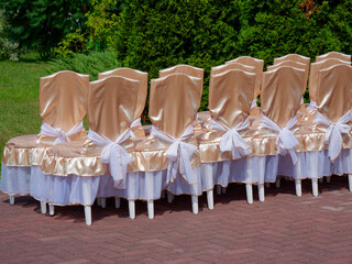 beautiful wedding ceremony in nature in a green park