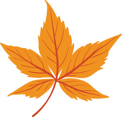 Autumn and Fall flower , Leaves elements