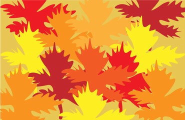 Fototapeta premium Maple leaves in autumn colors background.
