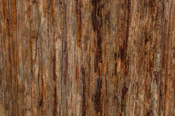 Drewniane tło z desek, ciemne drewno, naturalna tekstura starego drzewa. - obrazy, fototapety, plakaty