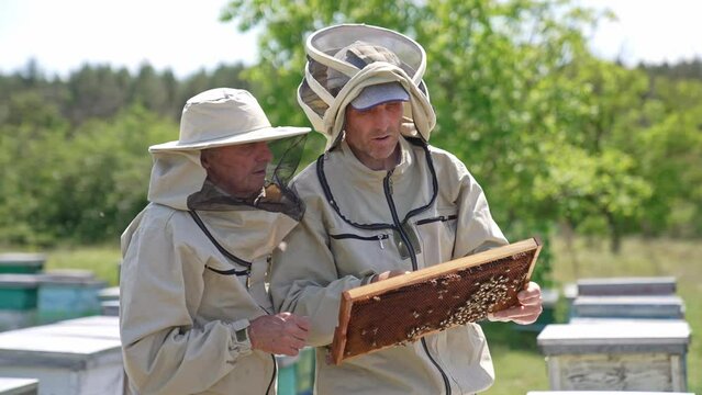 Two apiculturists in protective hats focused on the dark honey frame. Men look at it intently talking about it. Nature background.