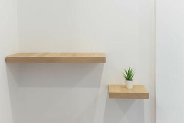 white wall indoors, two brown wooden shelves hang on the wall, one is long, the other is short and there is a green flower on it, close-up