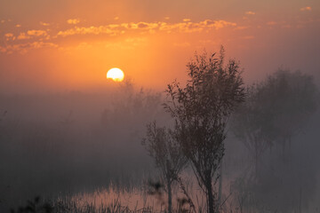 sunrise over the river