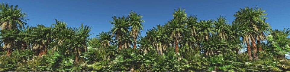 Obraz na płótnie Canvas Jungle and blue sky, panorama of palm trees against the sky, 3d rendering