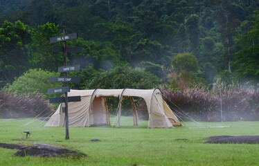 Nature at the campsite with morning dew