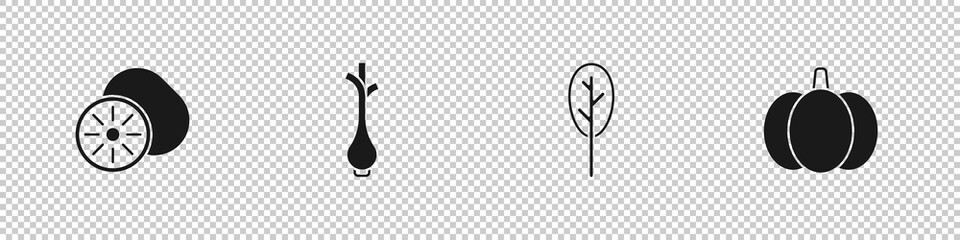 Set Kiwi fruit, Fresh green onions, Spinach and Pumpkin icon. Vector
