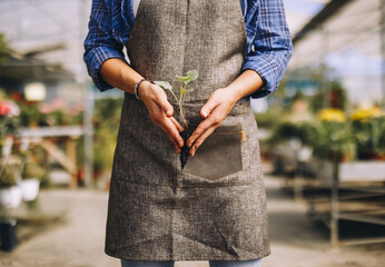 Woman holding green seedling with soil
