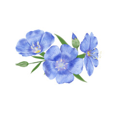 Fototapeta na wymiar Blue flowers watercolor flax illustration.