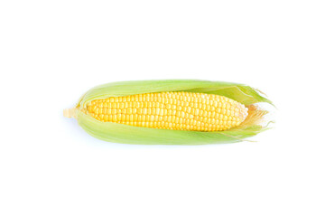 Fresh yellow corn cob isolated on white background
