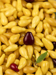 Yellow and red Cornelian cherry dogwood or cornus mas beries. Healthy low carb berry. Pulpy, sweet and sour fruit.