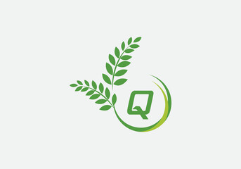 Green leaf and laurel wreath logo design vector with the letter and alphabet Q
