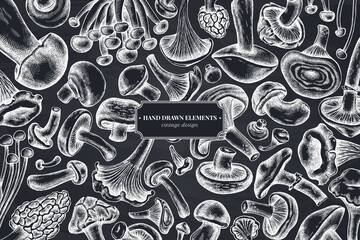 Monochrome design with chalk oyster mushroom, champignon, honey agaric, etc.