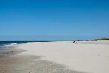 Fototapeta na wymiar Wide beaches and sand dunes on the Dutch island of Texel on a sunny day, The Netherlands.