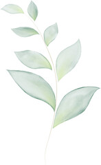 Obraz premium Green Leaves Branch Watercolor