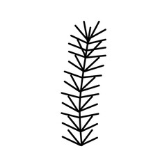 spruce branch color icon vector illustration