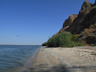 beach and rocks