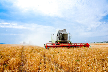Grain combine harvesters working in wheat field. Agriculture background. Harvest season