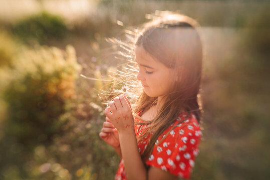 Cute girl in red dress dreaming in sunlight