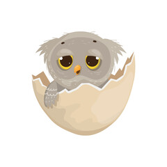 Owl in eggshell. Colorful children's illustration.