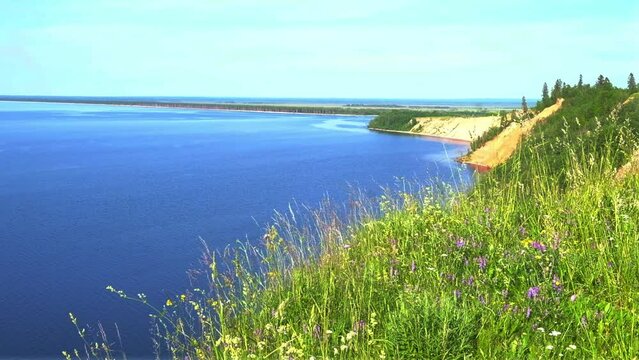 meadow and flowers view of Cape Andoma and mountains on Lake Onega in the Republic of Karelia Russia in summer