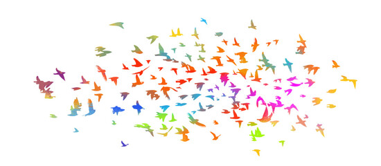 Abstract multicolored flying birds. Mixed media. Vector illustration